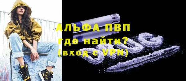 молекула духа Новозыбков