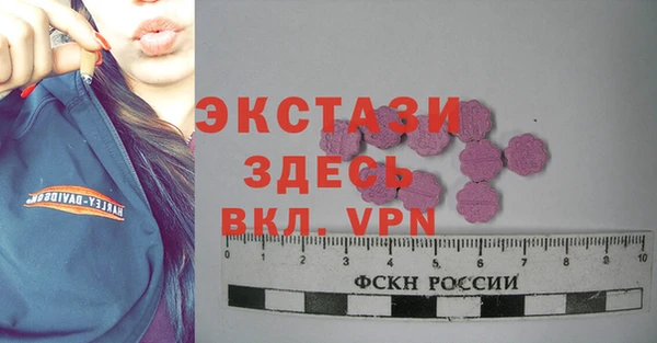молекула духа Новозыбков