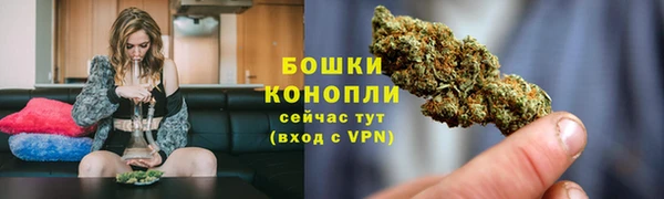 PSILOCYBIN Няндома