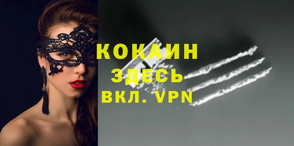 PSILOCYBIN Няндома