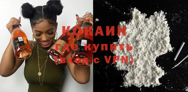 молекула духа Новозыбков