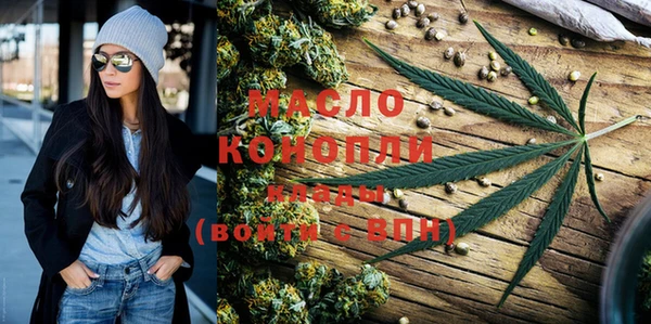 молекула духа Новозыбков