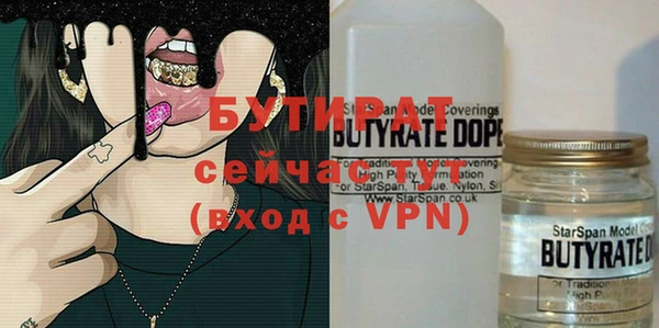 молекула духа Новозыбков