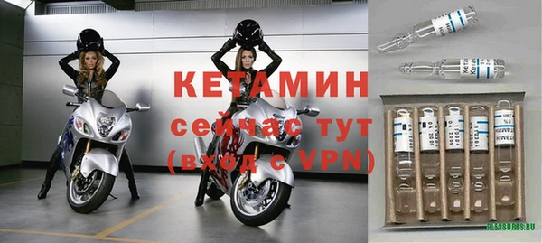 молекула духа Новозыбков