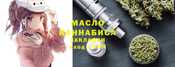 молекула духа Новозыбков