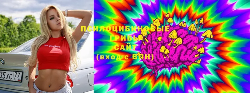 Псилоцибиновые грибы Magic Shrooms  где можно купить   мега зеркало  Сергач 