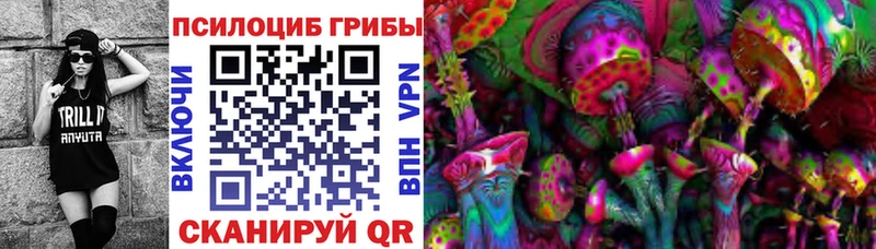 МЕГА вход  продажа наркотиков  Сергач  Псилоцибиновые грибы прущие грибы 